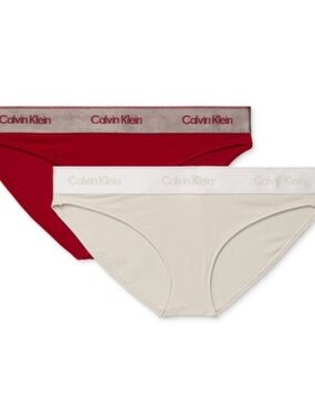 Calvin Klein Women's 2-Pk. Modern Cotton Bikini Underwear, XL JUNEBERRY/COC. NWT